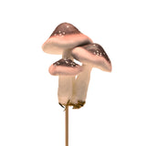 FG-MUSHROOMSBROWN