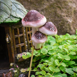 FG-MUSHROOMSBROWN