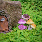FG-MUSHROOMSBROWN