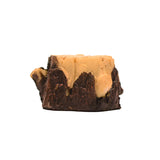 FG-STUMP