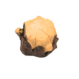 FG-STUMP