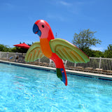 FL-PARROT