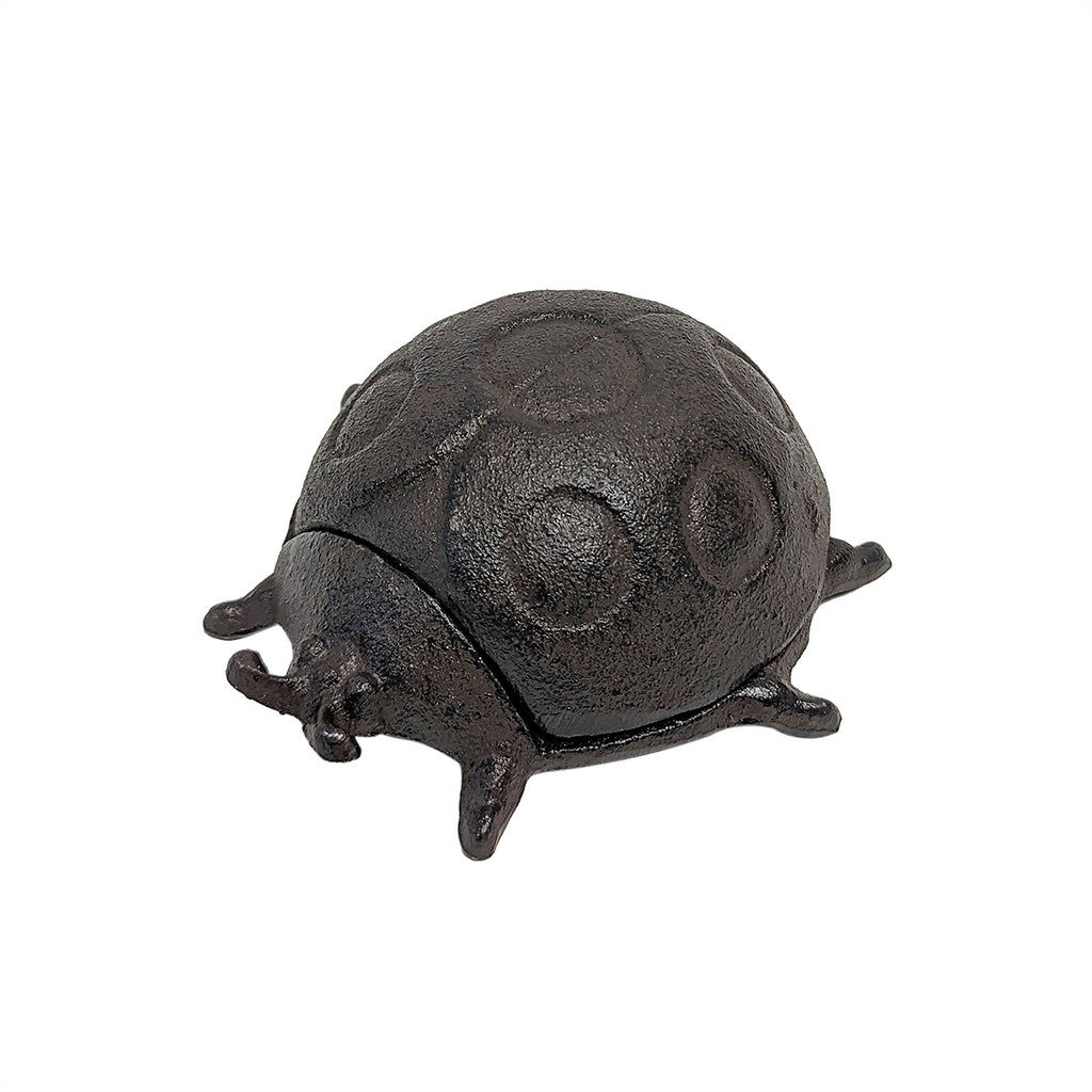 GD-KEYLADYBEETLE
