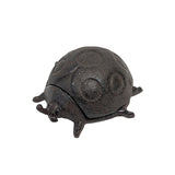 GD-KEYLADYBEETLE