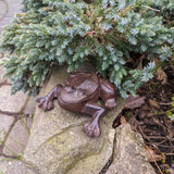 GD-KEYTOAD