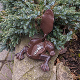 GD-KEYTOAD