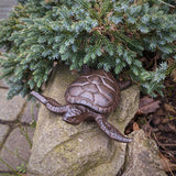 GD-KEYTURTLE