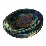 OT-ABALONEPOLISHED