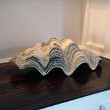OT-CLAMSHELL