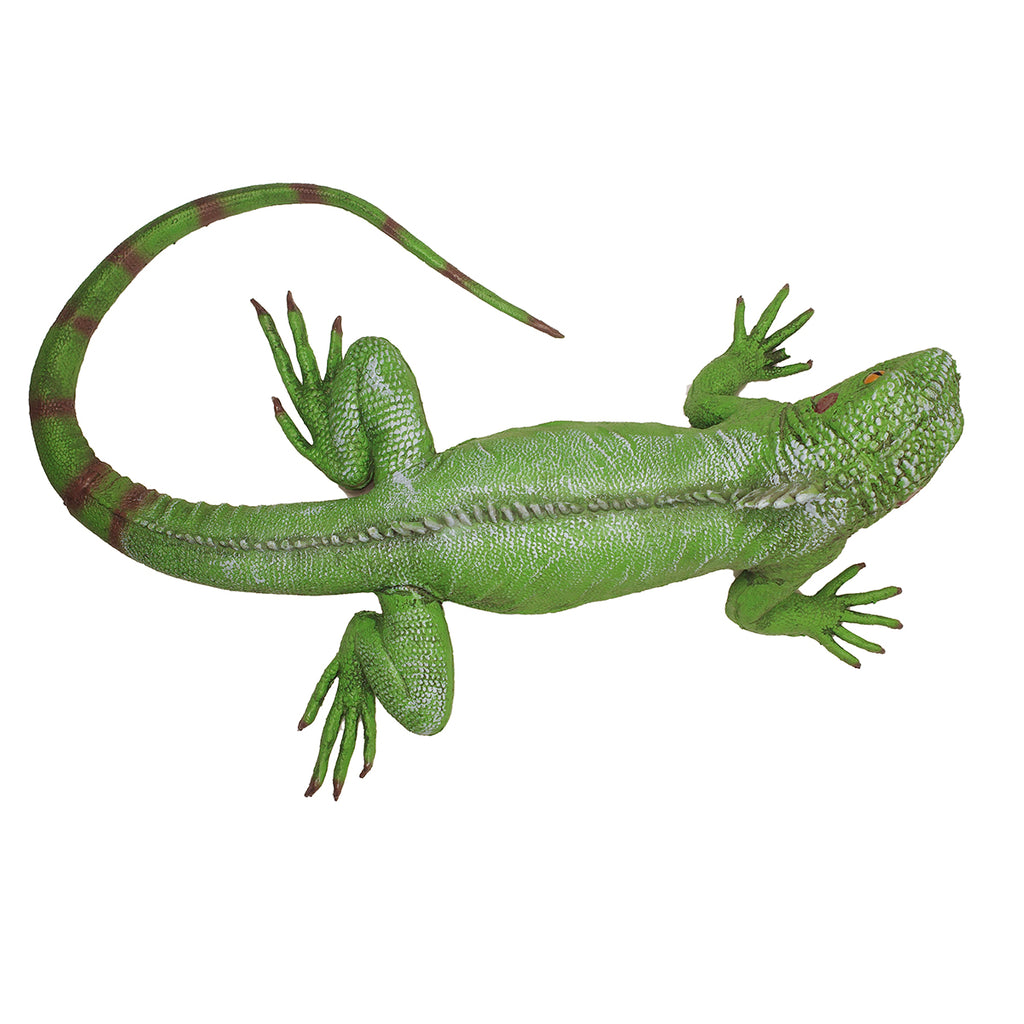 Large Rubber Iguana Iguana, Lizard, Museum Quality, Foam Rubber