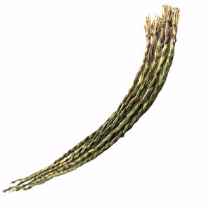 OT-SWEETGRASS
