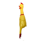 PA-CHICKEN
