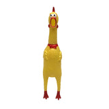 PA-CHICKEN
