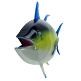 SN-OSBLUEFIN