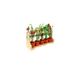 FG-WILDFLOWERBOX