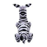 FL-ZEBRA