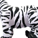 FL-ZEBRA