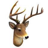 HD-BUCK