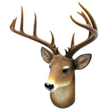HD-BUCK