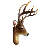 HD-BUCK