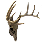 HD-DEERSKULL
