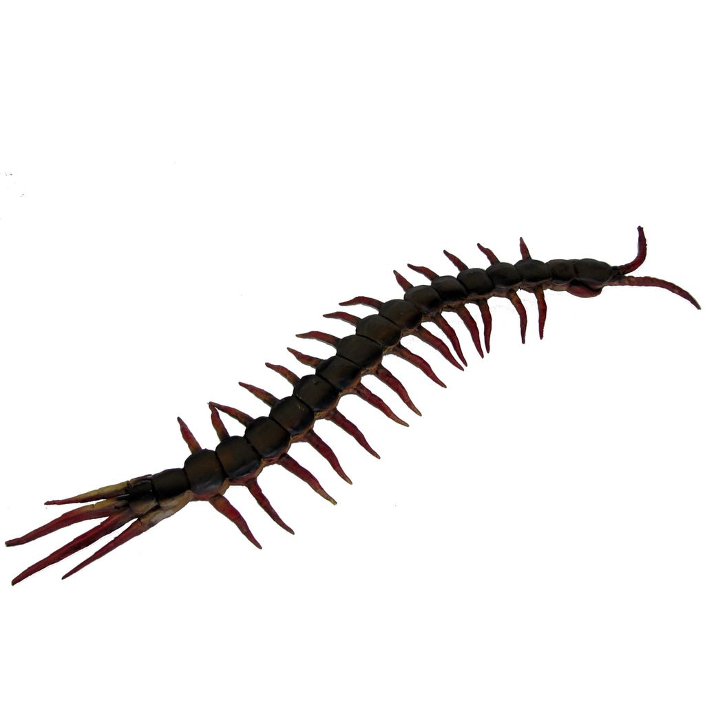 OT-CENTIPEDE