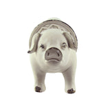 Rustic Kitchen Pig Nose and Tail Door Knob Set
