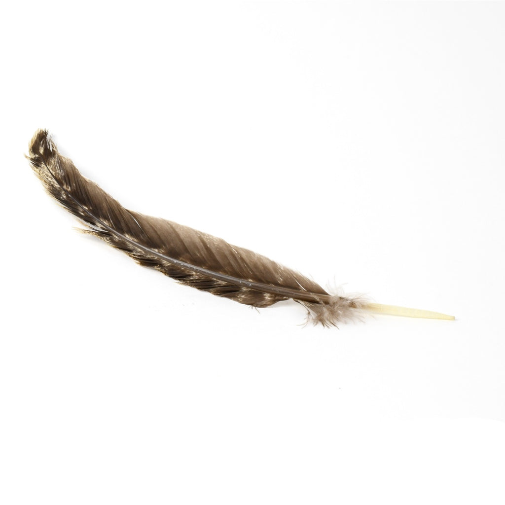 OT-TURKEYFEATHER