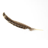 OT-TURKEYFEATHER