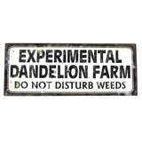 SN-TN0DANDELION