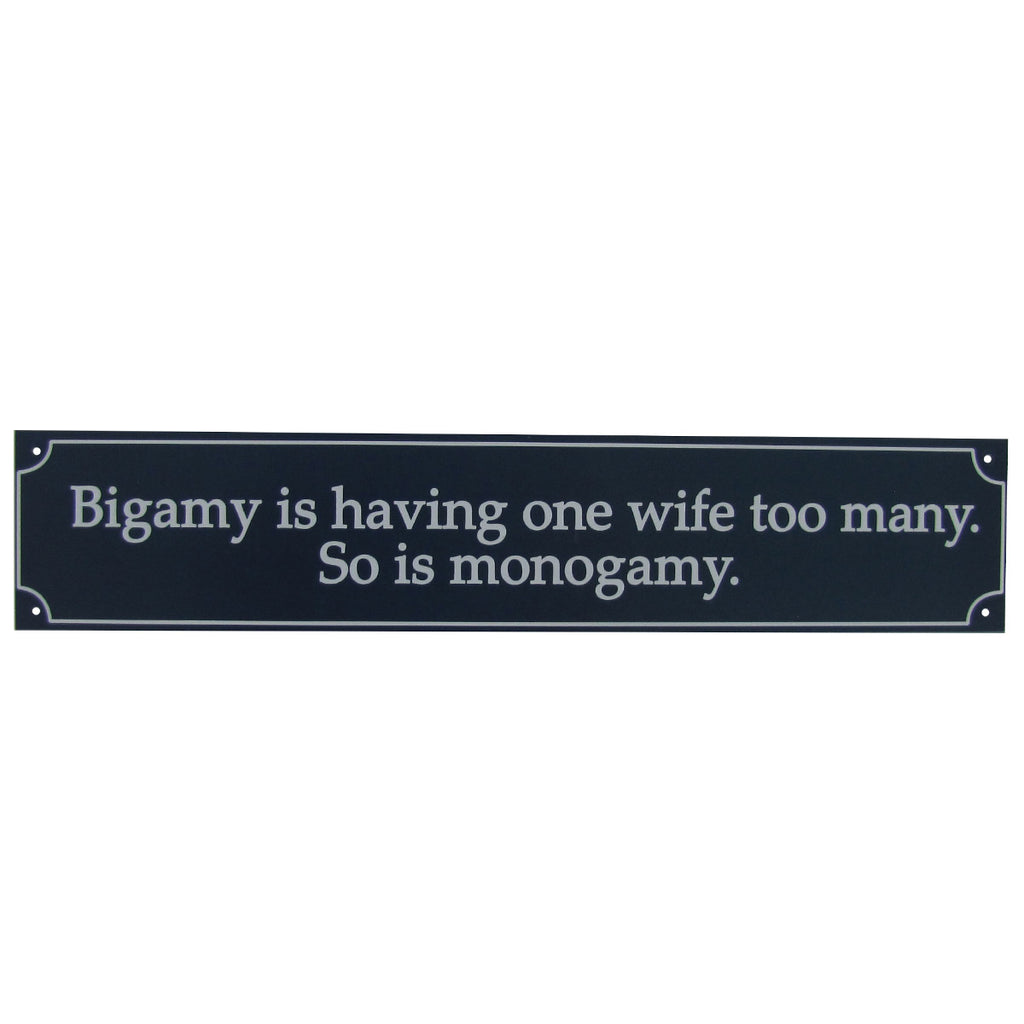 SN-TN4BIGAMY