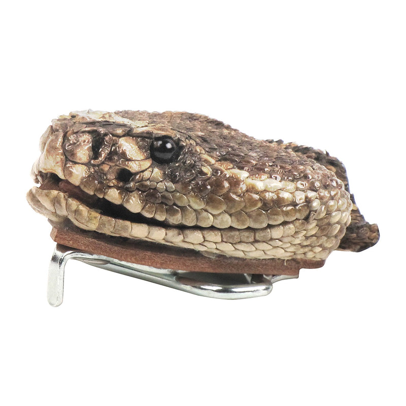 Genuine Taxidermy Rattlesnake Head Belt Buckle Real Snake  display picture 2