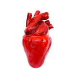 CS-HUMANHEART