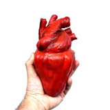 CS-HUMANHEART