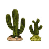 FG-CACTUSES
