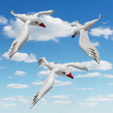 FL-SEAGULLSET