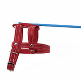 GM-DOGLEASH