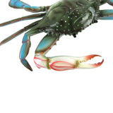 OT-GIANTBLUECRAB