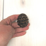 OT-KNOBPINECONE