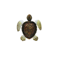 OT-KNOBSEATURTLE