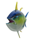 SN-OSYELLOWFIN