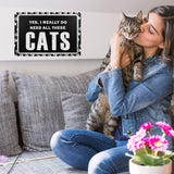 SN-TN3ALLTHESECATS