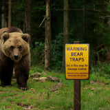 SN-TN3BEARTRAPS