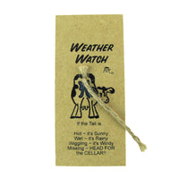TH-WEATHERWATCH