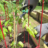 TO-PRUNINGSHEARS