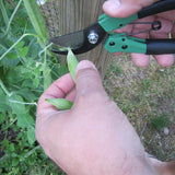 TO-PRUNINGSHEARS