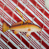 TT-TINYREDFISH