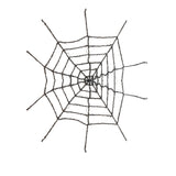 ZZ-SPIDERWEB