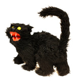 CS-BLACKSONICCAT