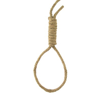 CS-NOOSE